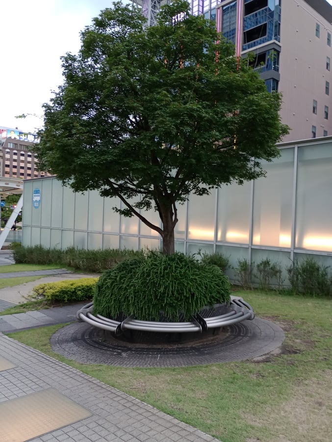 Oasis 21, Japan