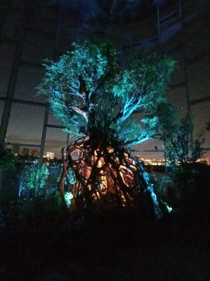 Invernadero de Shanghái, China