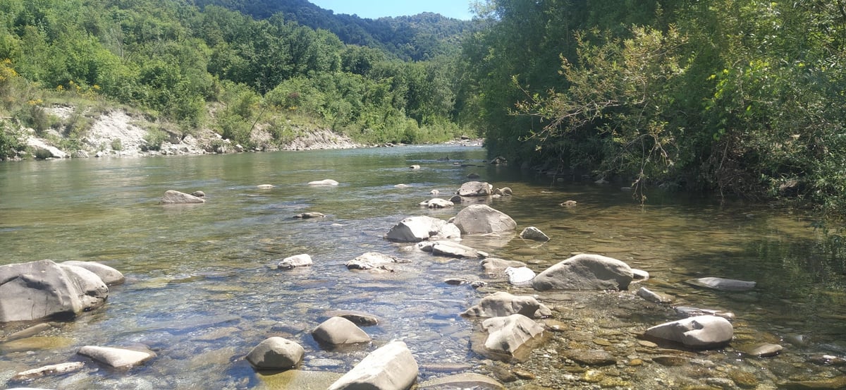 Little swim and focaccia stop, Italy