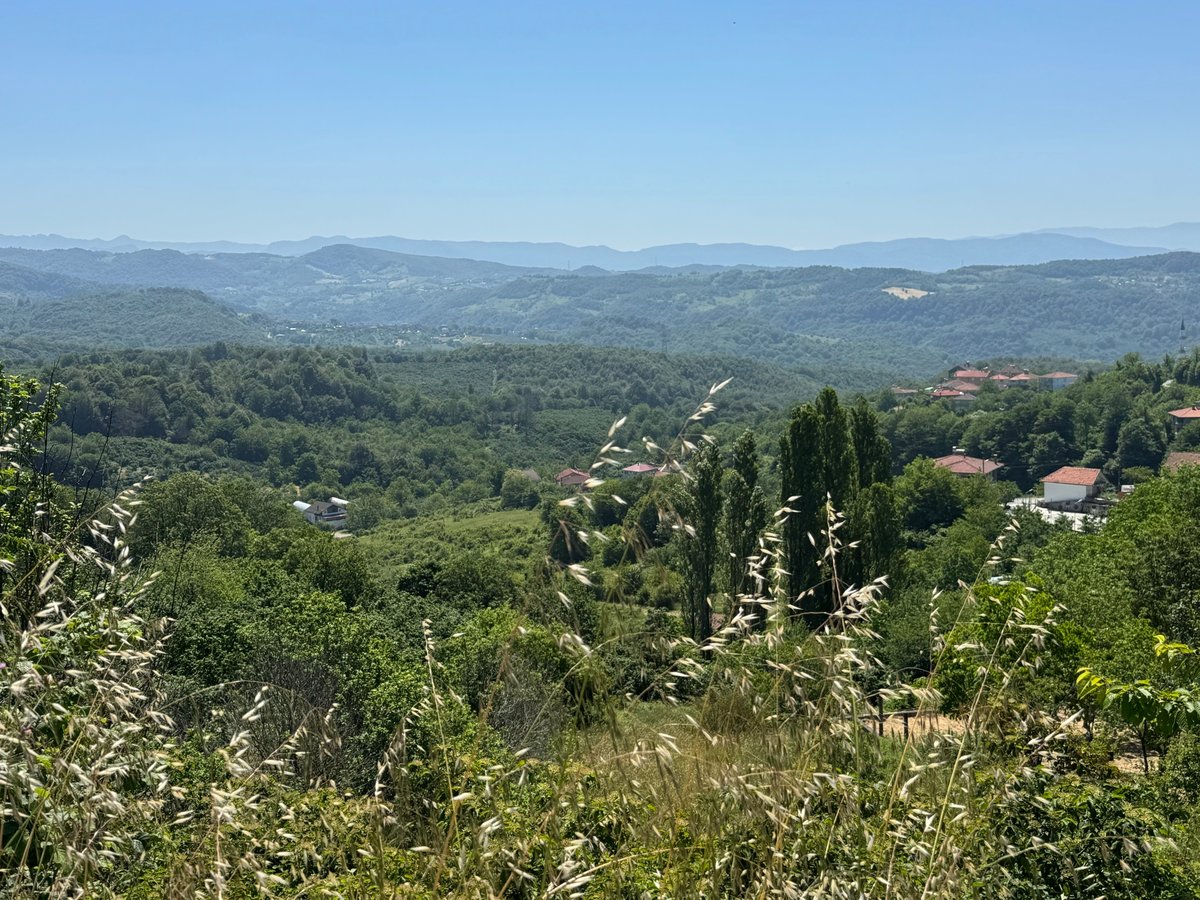 Up from Bartin 300m, Türkiye