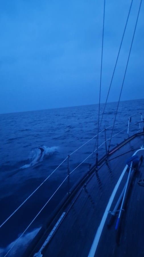 Welcome to Norwegian waters