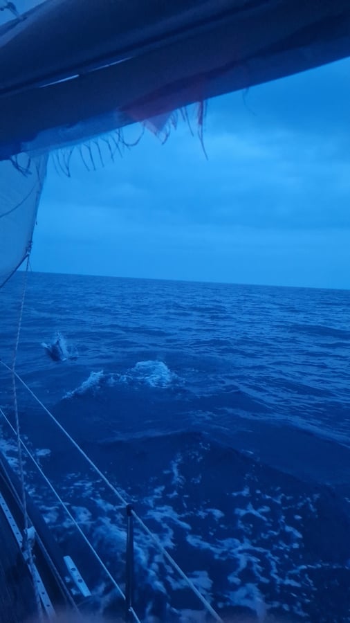 Welcome to Norwegian waters
