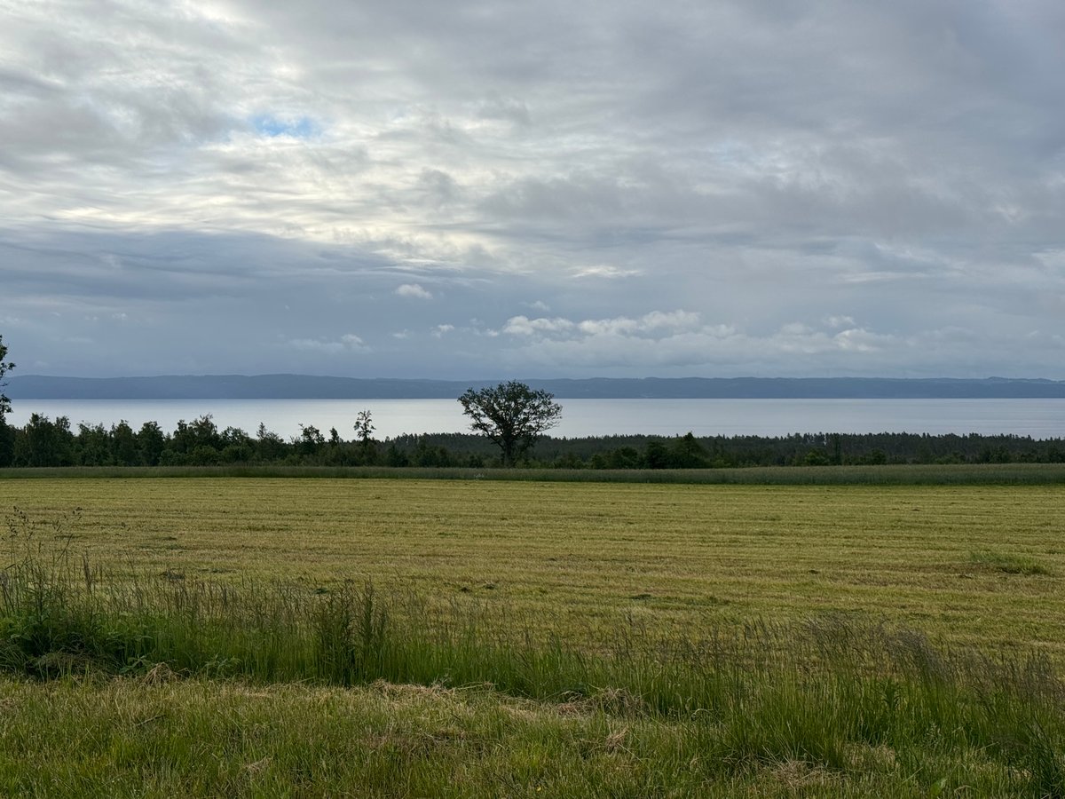 13 June 2026 - 06:33, Sweden