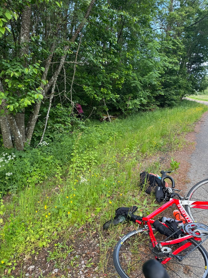 13 June 2026 - 07:49, Sweden