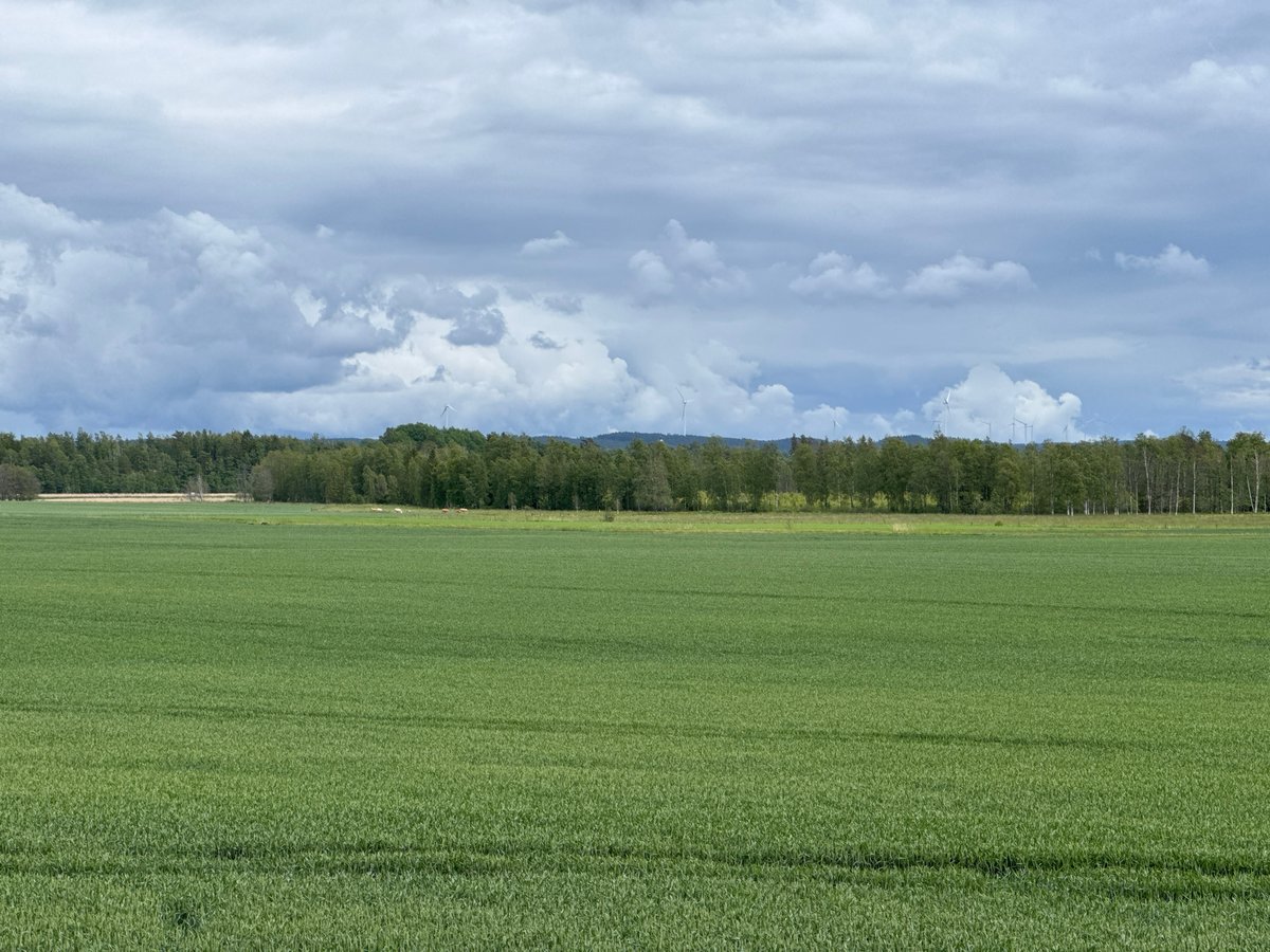 13 June 2026 - 14:29, Sweden