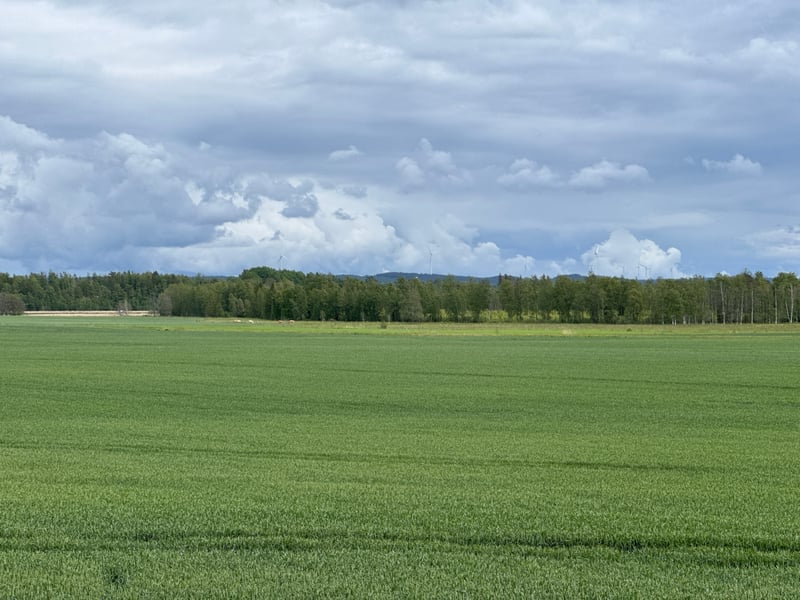 13 June 2026 - 14:29, Zweden