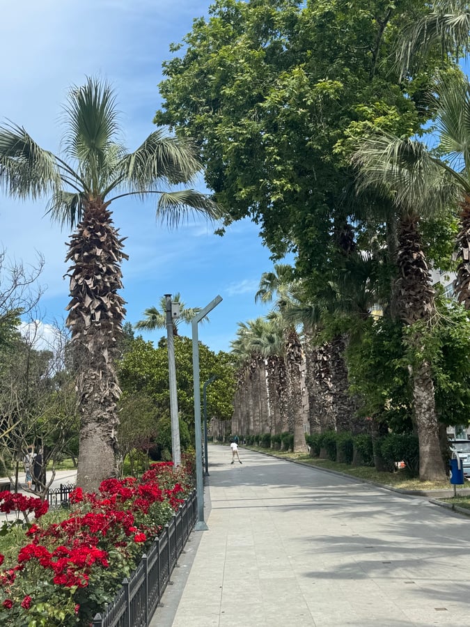 14 June 2026 - 09:30, Türkiye