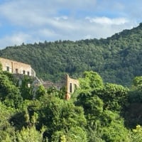 Looking Back & The Old House, Türkiye