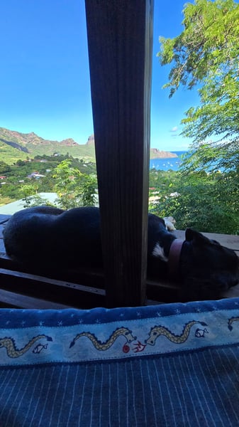 Nuku Hiva with my dog, Frans-Polynesië