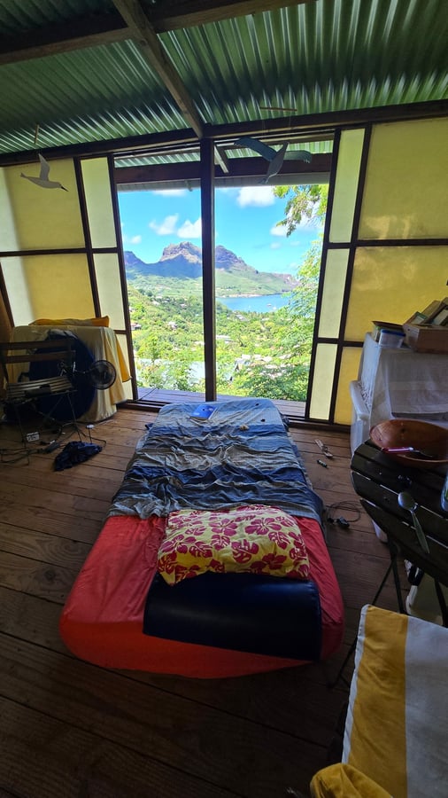 Nuku Hiva avec mon chien, Polynésie française