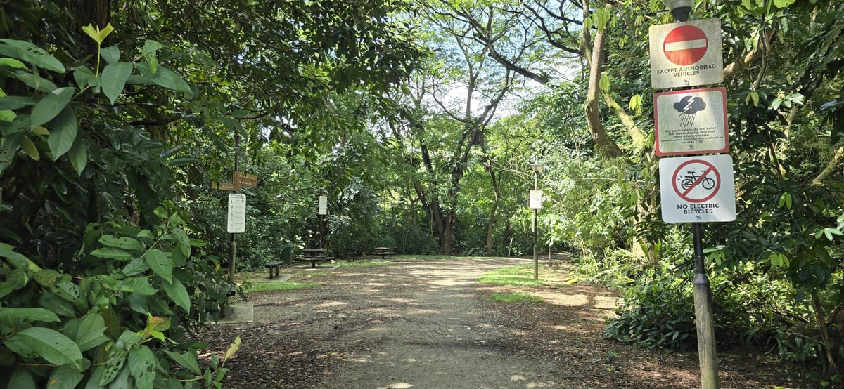 Turns to unpaved trail, Singapore