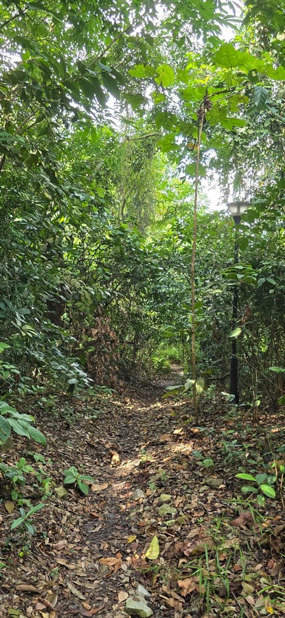 Single track, Singapore