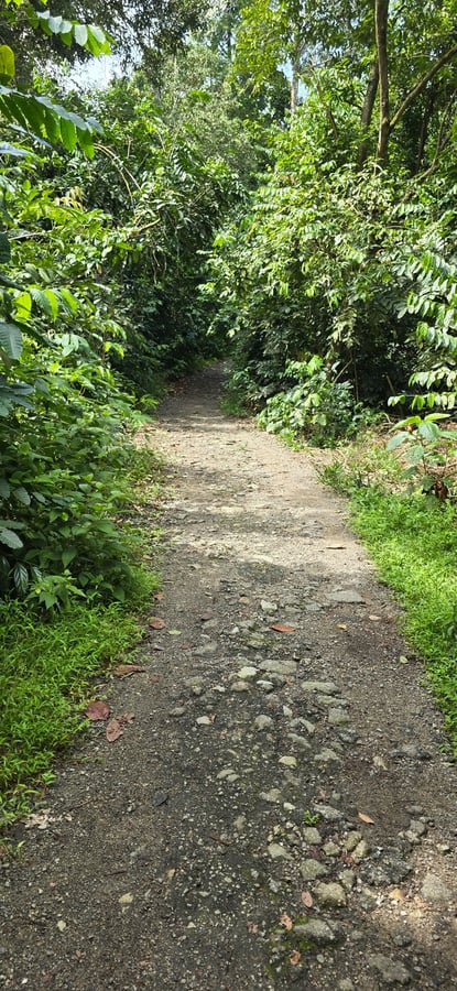 Good rocky trail, Singapore