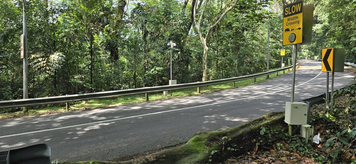 End of the trail: onto Rifle Range Road, Singapore