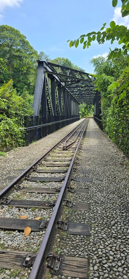 Upper Bukit Timah Truss Bridge, Singapore