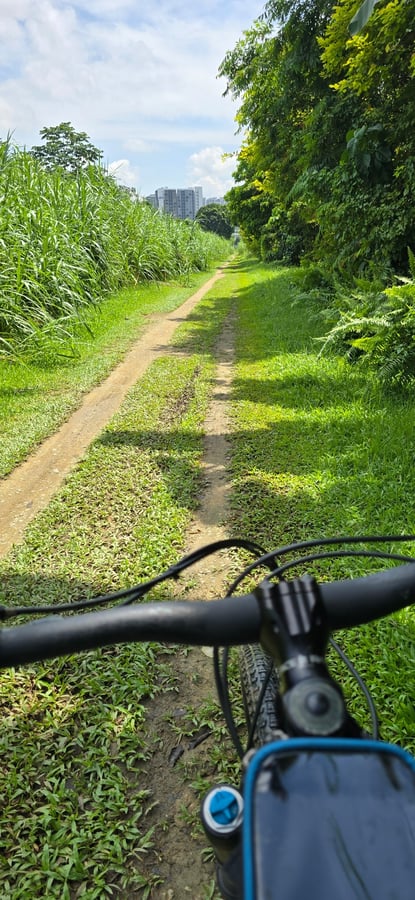 Rail Corridor, Singapore
