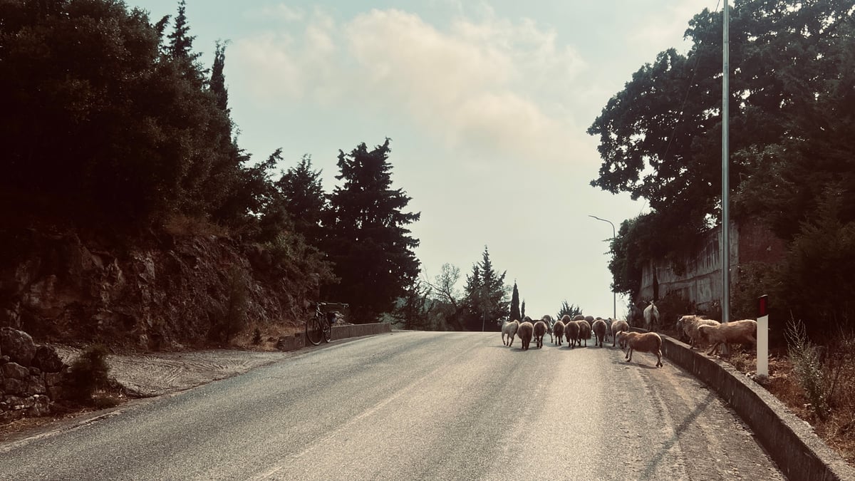 Llegó seco a Himarë, Albania