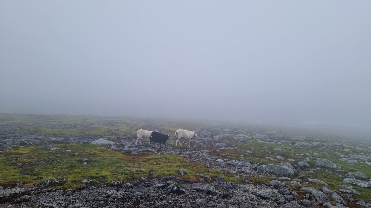Melderskin, 1428 m.ö.h., Norway