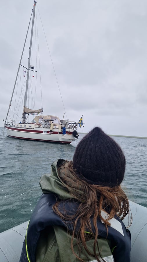 Making friends in Orkney, Scotland