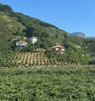 Contrasts in just a few hundred meters!, Türkiye