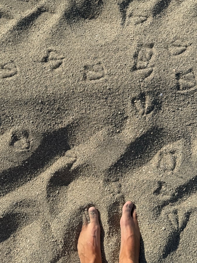Start at the Mediterranean Sea, France