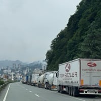 Long trucks line parked 20km to Georgia, Türkiye