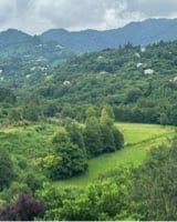 Georgian Countryside, Georgia