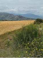 Landscspe, Georgia