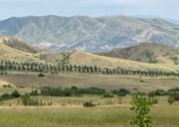 Beautiful Georgian Landscape, Georgia