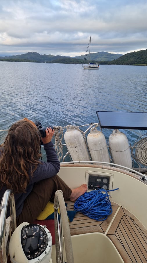 Big wildlife day, Mull to Rùm, Scotland