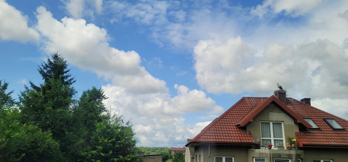 23 July 2026 - 11:26, Poland