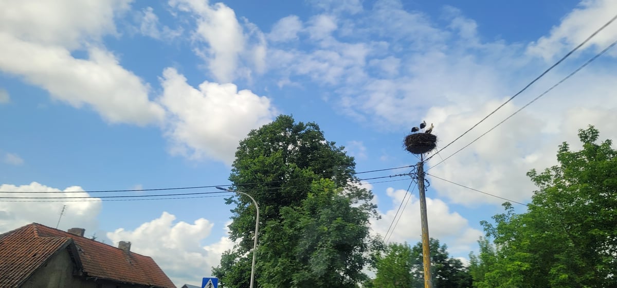 23. Juli 2026 - 11:26 Uhr, Polen