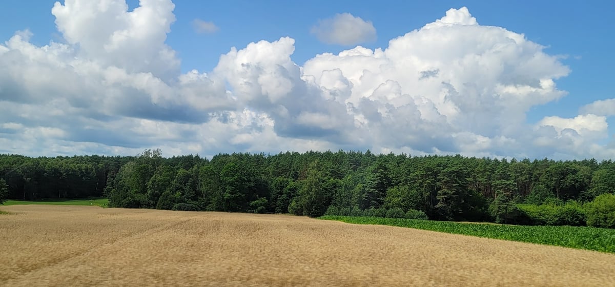 23. Juli 2026 - 11:26 Uhr, Polen