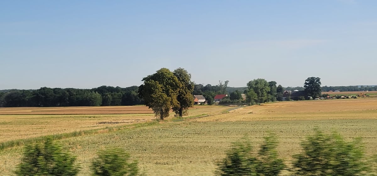 29 July 2026 - 09:32, Poland