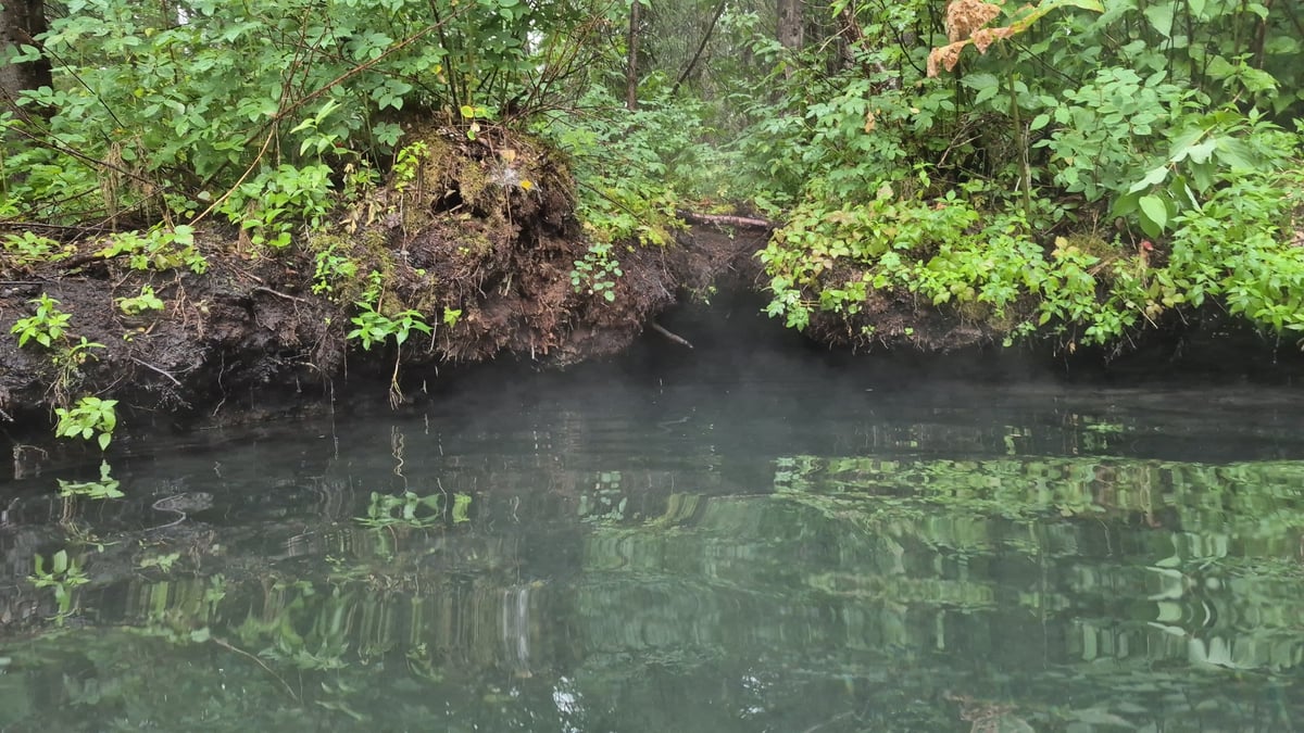 Liard-Thermalquellen, Kanada