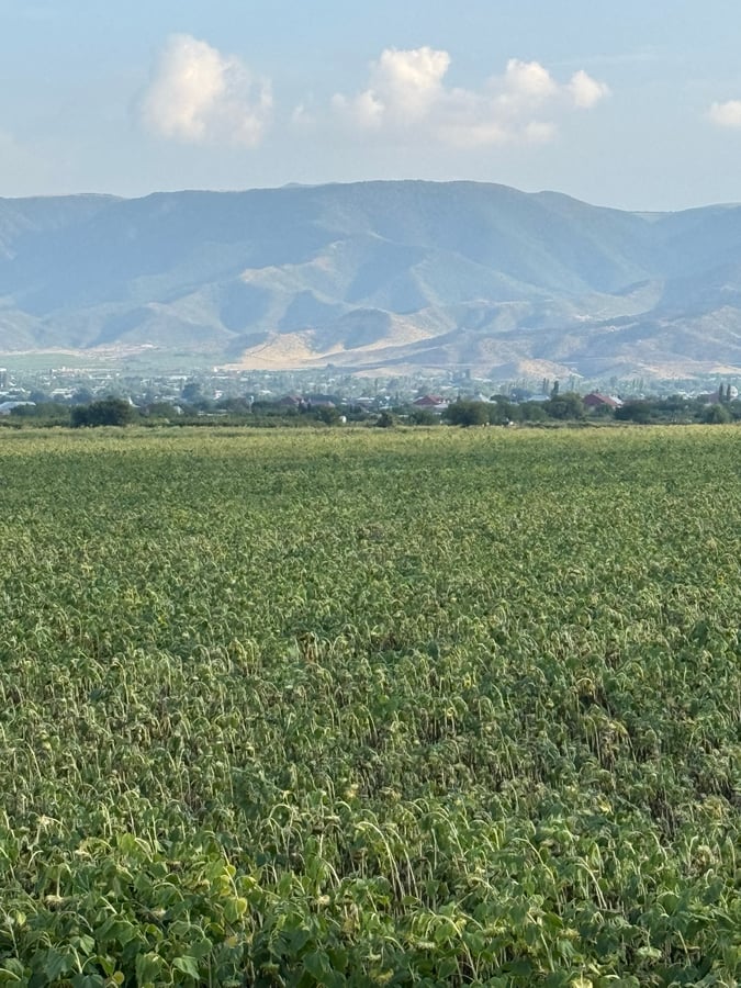Direzione Ganja, Azerbaigian, sotto il sole cocente, Azerbaigian
