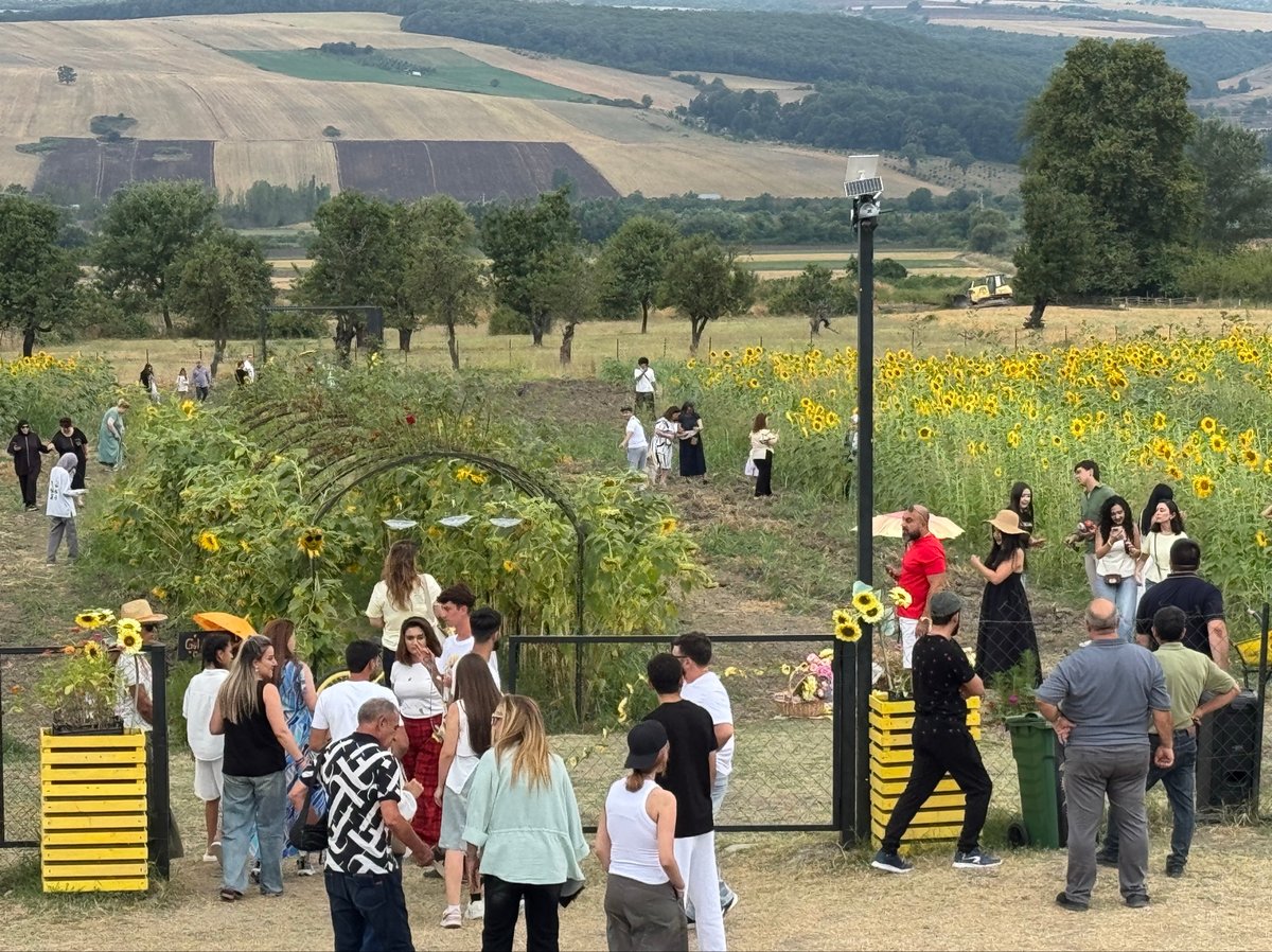 Azerbaijan Sunflower tourist attraction, Azerbaijan