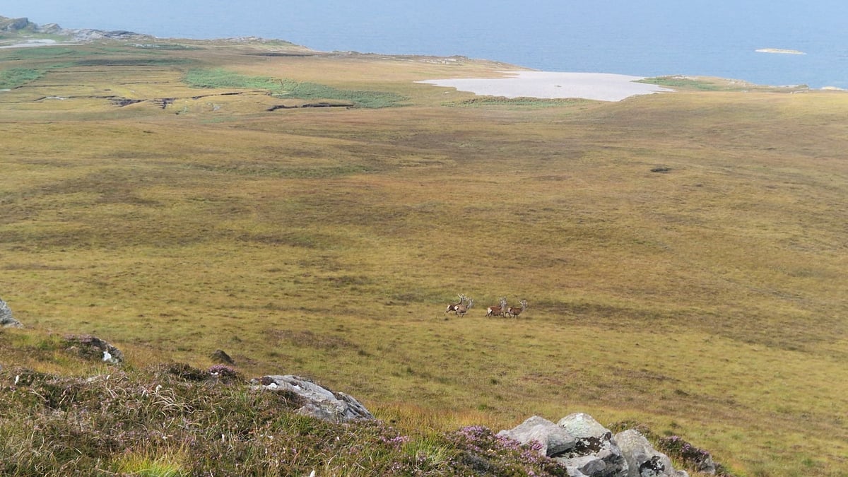 Jura - top spot!!, Schotland