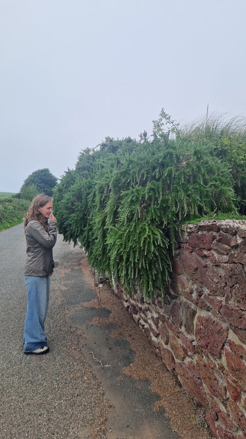 Arrival to Pembrokeshire, Wales
