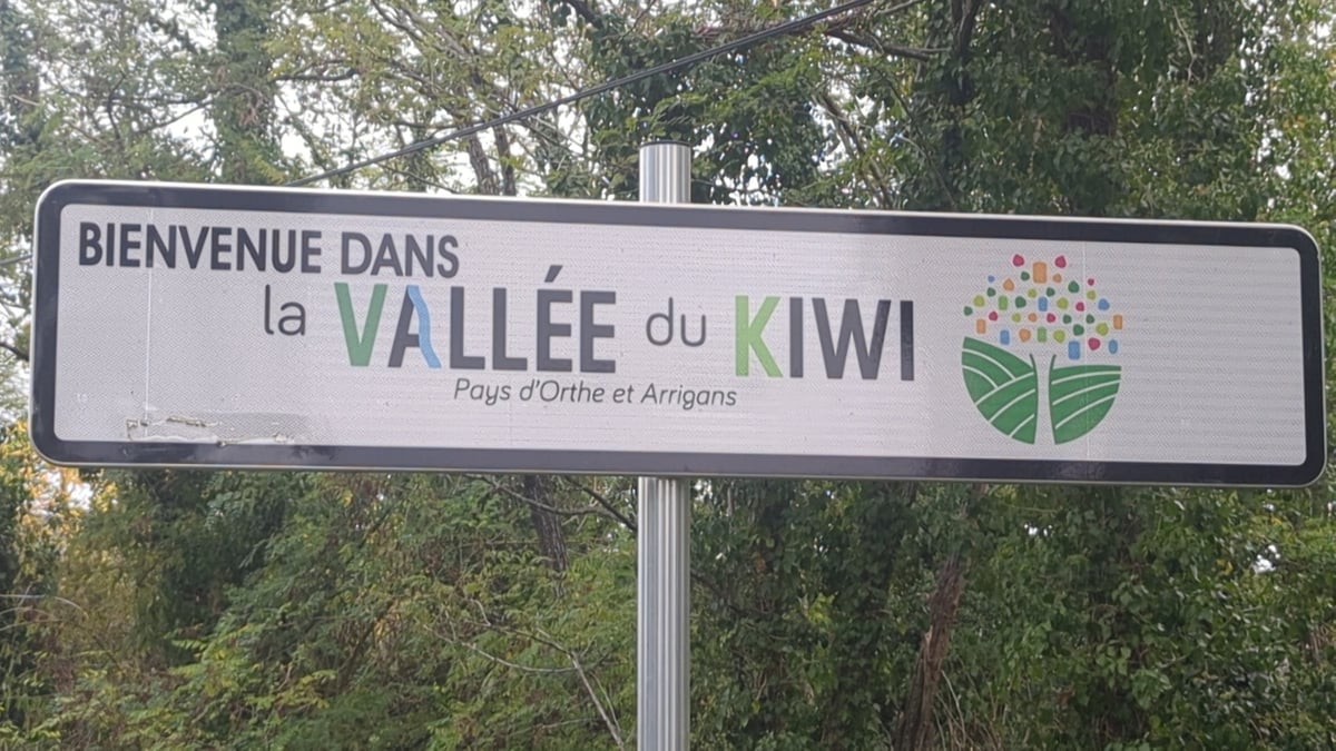 Kiwi-Tal, Frankreich