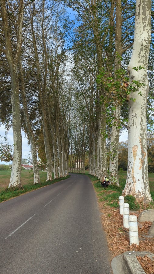 Pau-Fluss, Frankreich