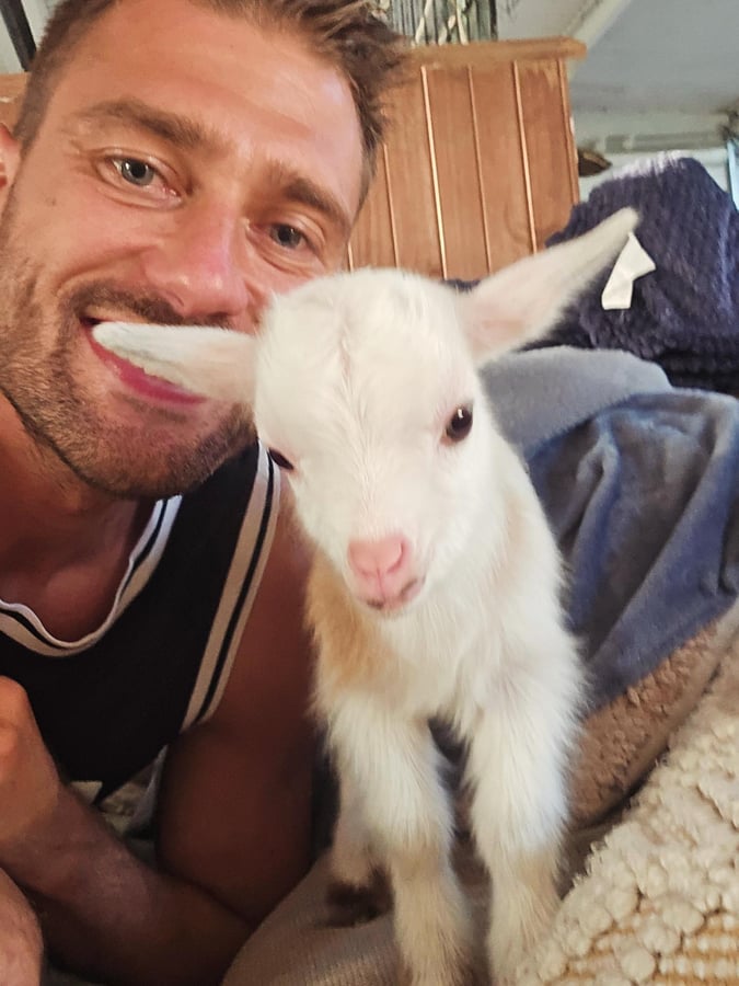 Zendara Goats, Australia