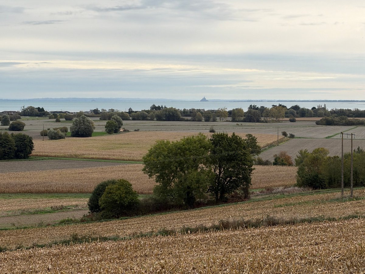 11 October 2026, France