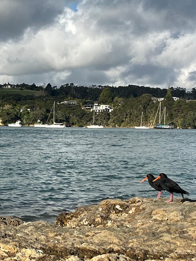 Sailing New Zealand | Opua & Russel, New Zealand