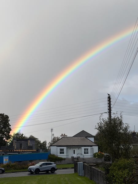 The Rick Trip, Ireland