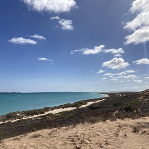 We Didn&rsquo;t Get Bogged Today by Newluks