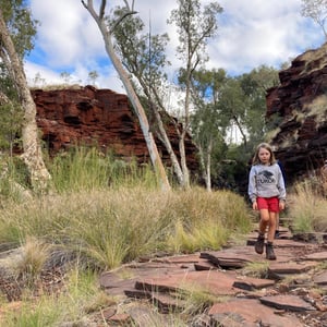 Another Gorge On A Rainy Day by Newluks