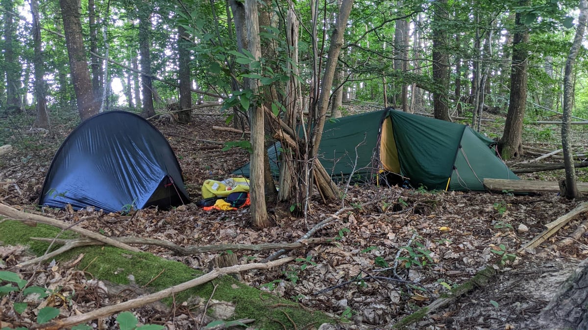 Home For The Night, France