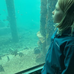 In A Real house! by Newluks