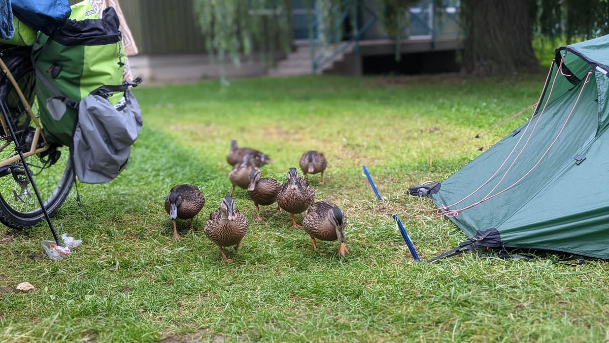 Campsite, France
